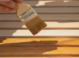 Stain Services