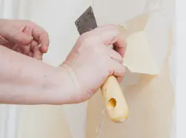 Wallpaper Removal